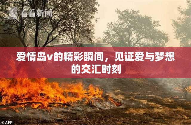 爱情岛v的精彩瞬间，见证爱与梦想的交汇时刻
