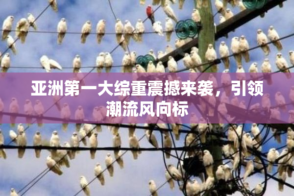 亚洲第一大综重震撼来袭，引领潮流风向标