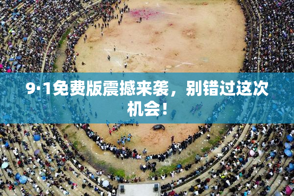 9·1免费版震撼来袭，别错过这次机会！