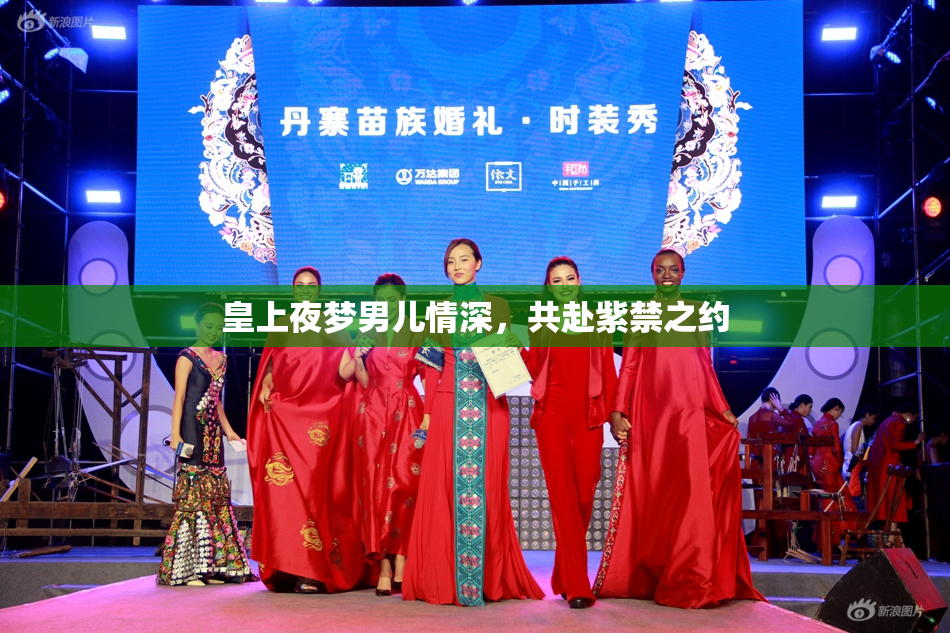 皇上夜梦男儿情深，共赴紫禁之约