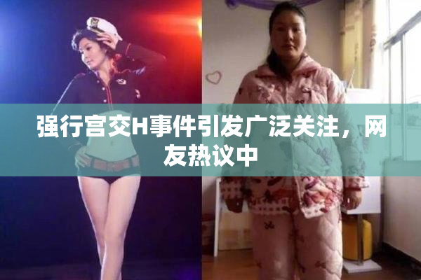 强行宫交H事件引发广泛关注，网友热议中