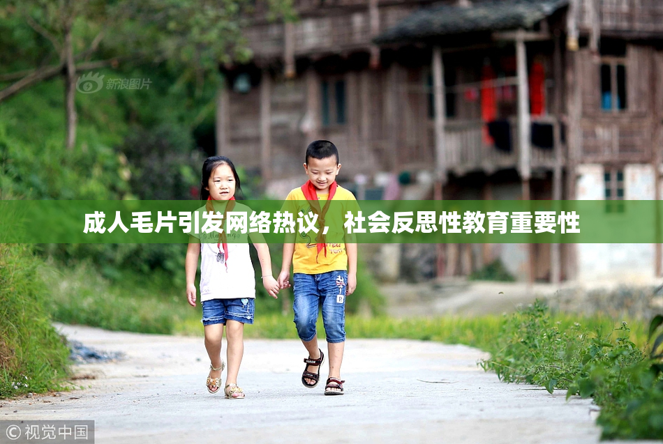 成人毛片引发网络热议，社会反思性教育重要性
