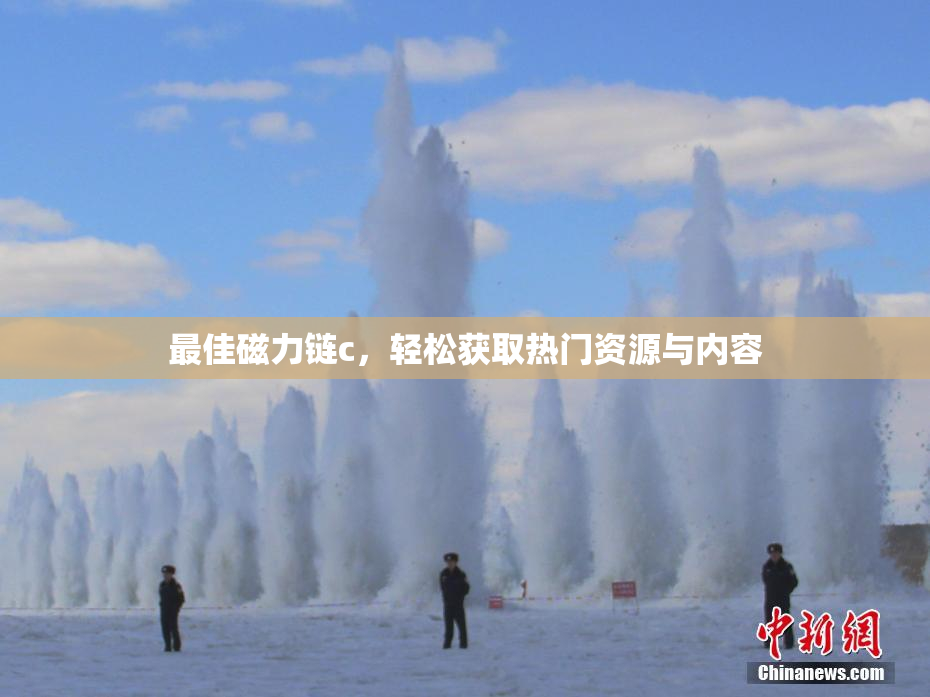 最佳磁力链c，轻松获取热门资源与内容