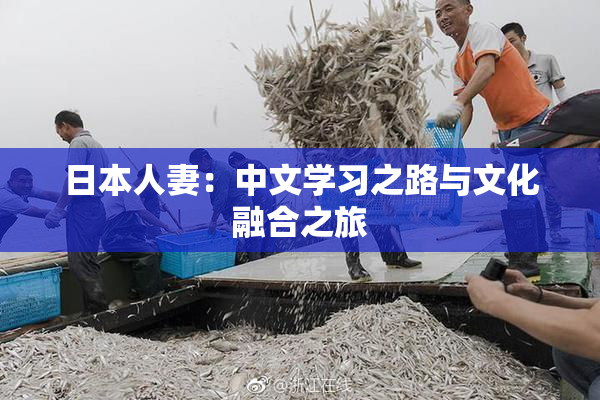 日本人妻：中文学习之路与文化融合之旅