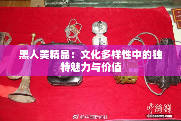 黑人美精品：文化多样性中的独特魅力与价值