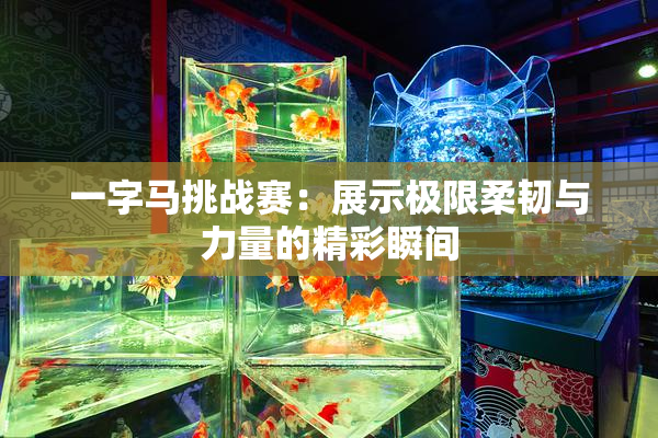 一字马挑战赛：展示极限柔韧与力量的精彩瞬间