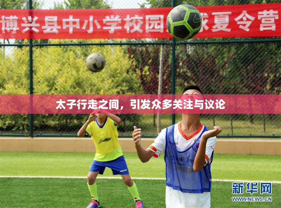 太子行走之间，引发众多关注与议论