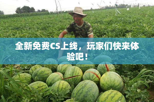 全新免费CS上线，玩家们快来体验吧！