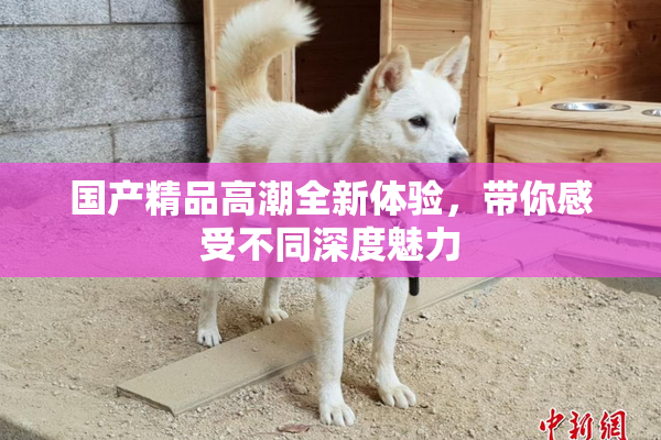 国产精品高潮全新体验，带你感受不同深度魅力