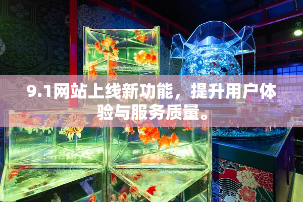 9.1网站上线新功能，提升用户体验与服务质量。
