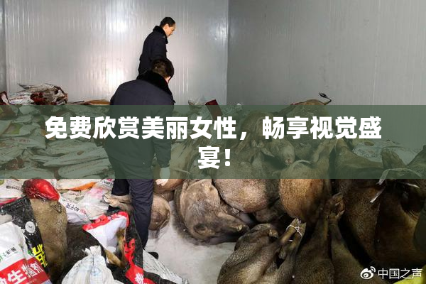 免费欣赏美丽女性，畅享视觉盛宴！