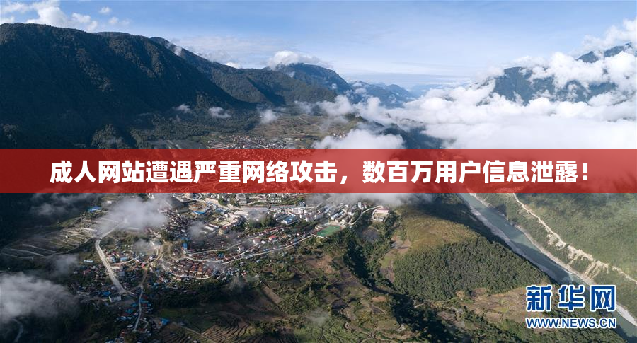 成人网站遭遇严重网络攻击，数百万用户信息泄露！