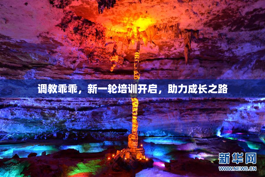 调教乖乖，新一轮培训开启，助力成长之路
