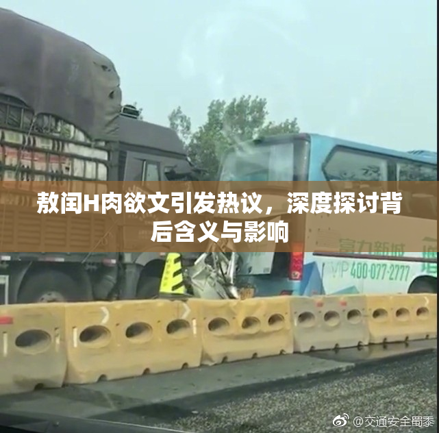 敖闰H肉欲文引发热议，深度探讨背后含义与影响