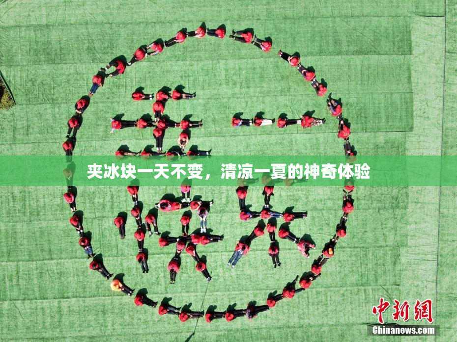 夹冰块一天不变，清凉一夏的神奇体验