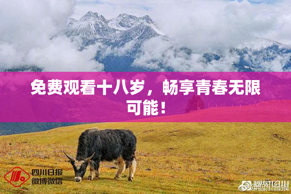 免费观看十八岁，畅享青春无限可能！