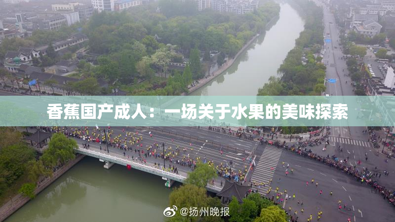 香蕉国产成人：一场关于水果的美味探索