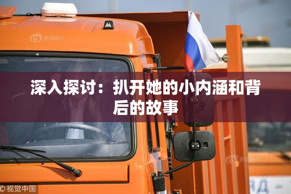 深入探讨：扒开她的小内涵和背后的故事