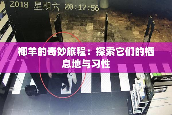 椰羊的奇妙旅程：探索它们的栖息地与习性