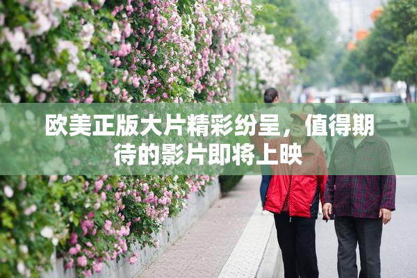 欧美正版大片精彩纷呈，值得期待的影片即将上映