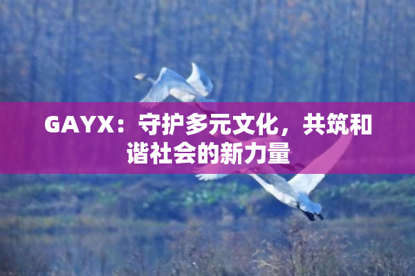 GAYX：守护多元文化，共筑和谐社会的新力量