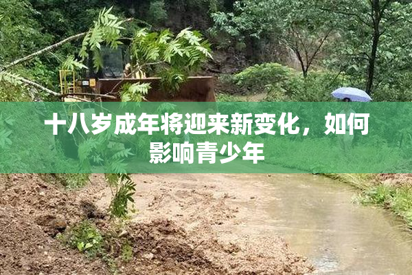 十八岁成年将迎来新变化，如何影响青少年