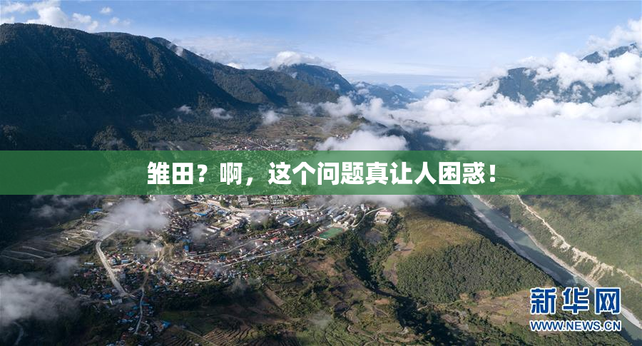 雏田？啊，这个问题真让人困惑！