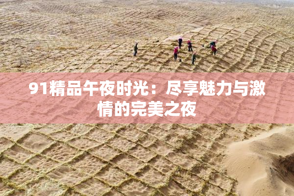 91精品午夜时光：尽享魅力与激情的完美之夜