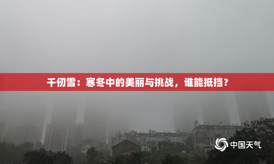 千仞雪：寒冬中的美丽与挑战，谁能抵挡？