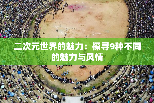 二次元世界的魅力：探寻9种不同的魅力与风情