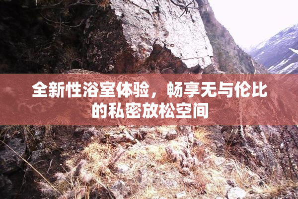 全新性浴室体验，畅享无与伦比的私密放松空间