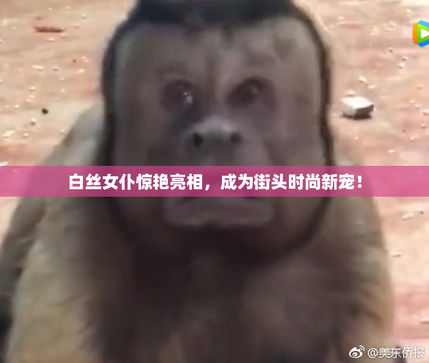 白丝女仆惊艳亮相，成为街头时尚新宠！