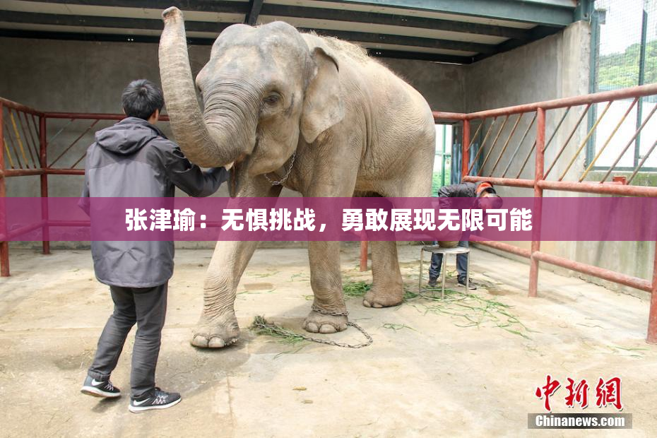 张津瑜：无惧挑战，勇敢展现无限可能
