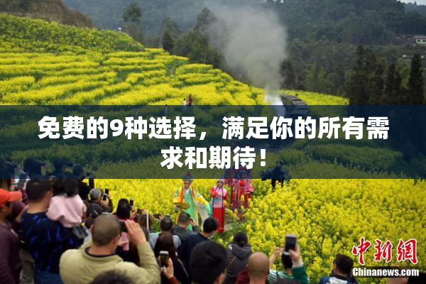 免费的9种选择，满足你的所有需求和期待！