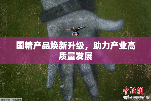 国精产品焕新升级，助力产业高质量发展
