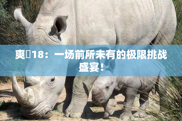爽擼18：一场前所未有的极限挑战盛宴！