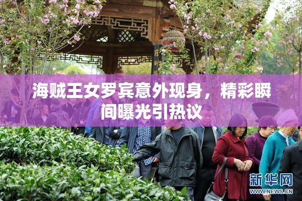 海贼王女罗宾意外现身，精彩瞬间曝光引热议
