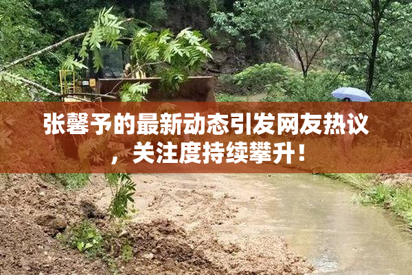 张馨予的最新动态引发网友热议，关注度持续攀升！