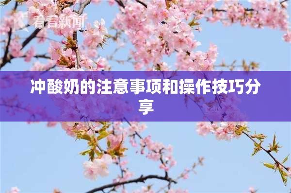 冲酸奶的注意事项和操作技巧分享
