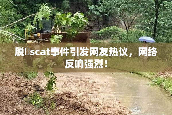 脱糞scat事件引发网友热议，网络反响强烈！
