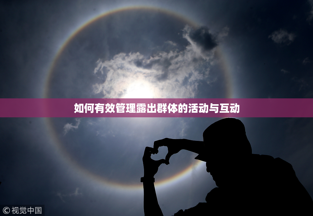 如何有效管理露出群体的活动与互动