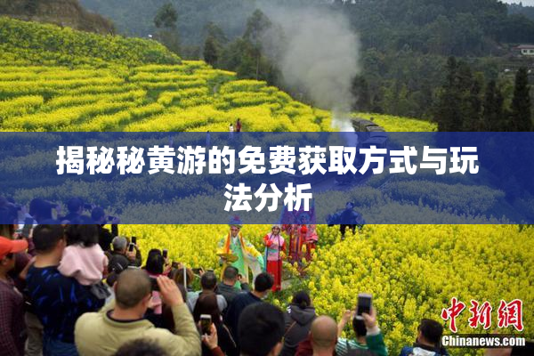 揭秘秘黄游的免费获取方式与玩法分析