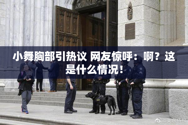 小舞胸部引热议 网友惊呼：啊？这是什么情况！
