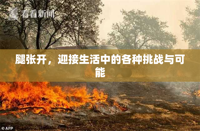 腿张开，迎接生活中的各种挑战与可能