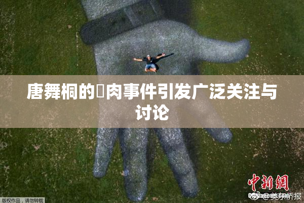 唐舞桐的婬肉事件引发广泛关注与讨论
