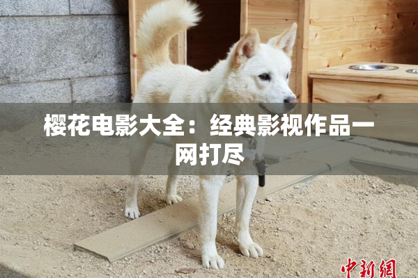 樱花电影大全：经典影视作品一网打尽