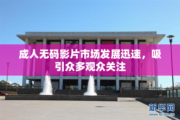 成人无码影片市场发展迅速，吸引众多观众关注
