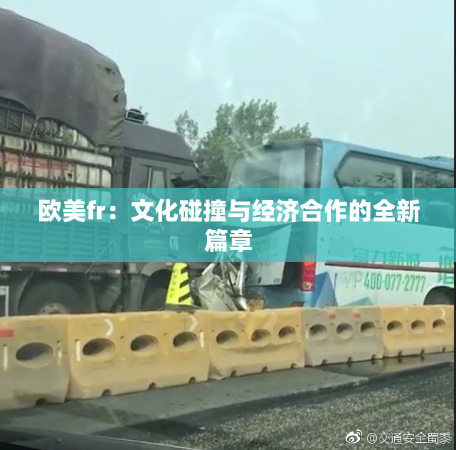 欧美fr：文化碰撞与经济合作的全新篇章