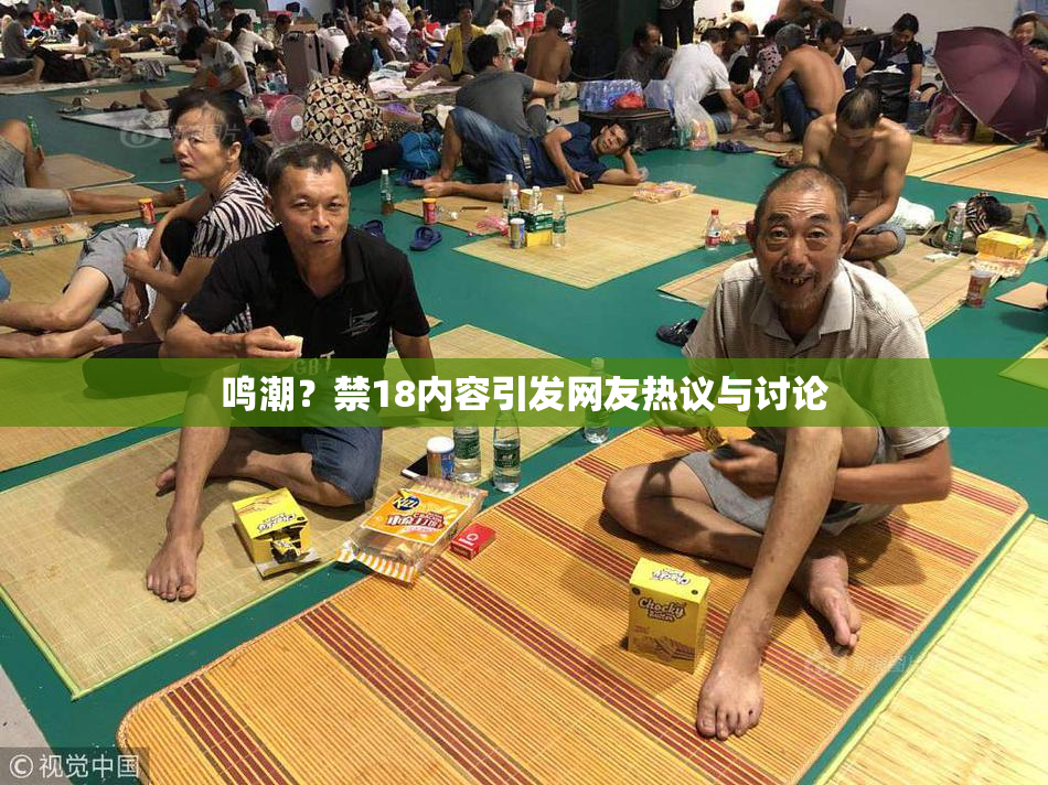 鸣潮？禁18内容引发网友热议与讨论