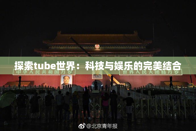 探索tube世界：科技与娱乐的完美结合